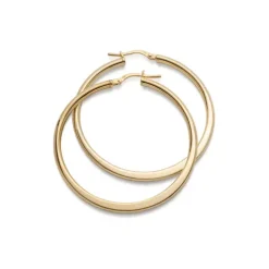 Jemp Guld Örhängen | Förgyllt Silver^Creol FG 925silver doc 50mm