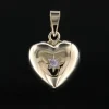 Jemp Guld Hängen^Hjärta 18k med cz i stjärnfattning