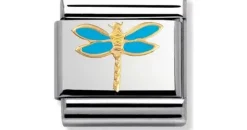 Nomination Nomination^Dragonfly