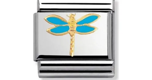 Nomination Nomination^Dragonfly