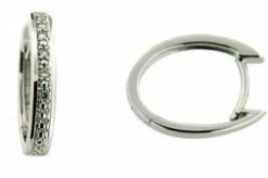 Jemp Guld Örhängen^Örhänge 18K 0,04 w/p