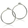 Blomdahl medical Hudvänliga Örhängen^Safety ear ring 12mm