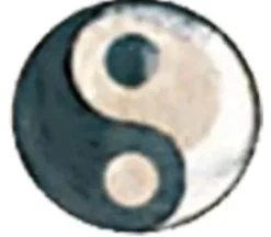 Jemp Guld Tandsmycken^Twinkles